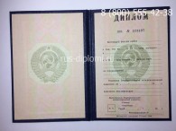 Диплом о высшем образовании СССР до 1996 года, образец, титульный лист-2